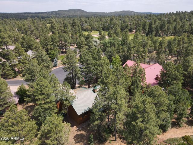 3170 W LODGEPOLE Lane, Show Low, AZ 85901