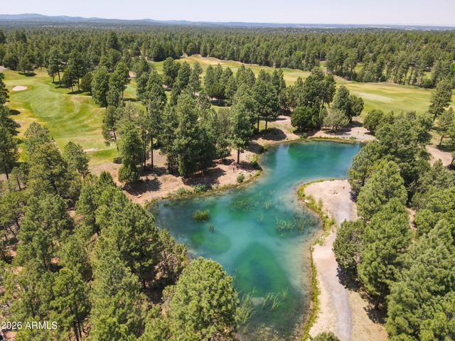 3170 W LODGEPOLE Lane, Show Low, AZ 85901