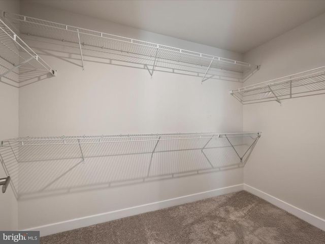 11710 SOUTHVIEW CT, Spotsylvania, VA 22551