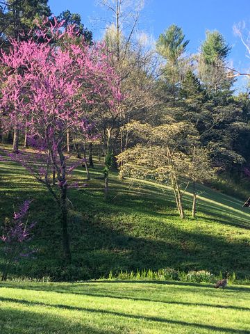 7058 E Farm Road 132, Springfield, MO 65802