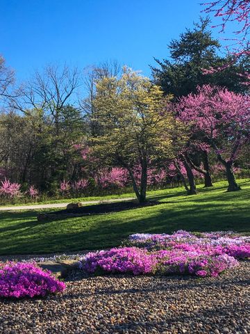 7058 E Farm Road 132, Springfield, MO 65802