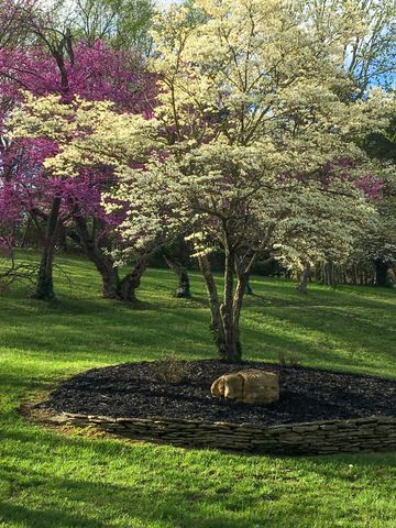 7058 E Farm Road 132, Springfield, MO 65802