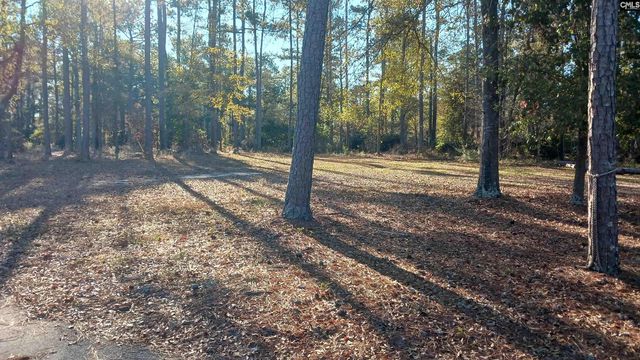 133 Tam O Shanter Drive, Blythewood, SC 29016