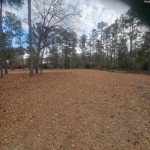 133 Tam O Shanter Drive, Blythewood, SC 29016