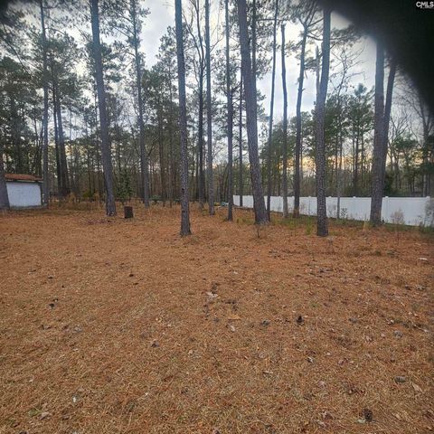 133 Tam O Shanter Drive, Blythewood, SC 29016