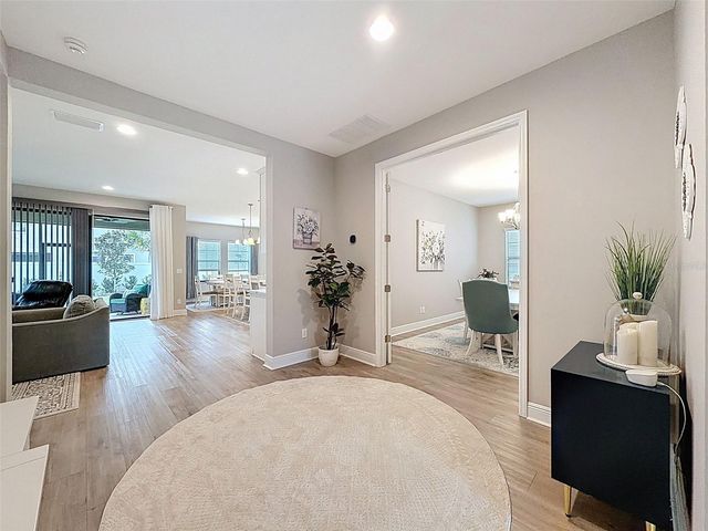 4312 BURDICK LOOP, Odessa, FL 33556