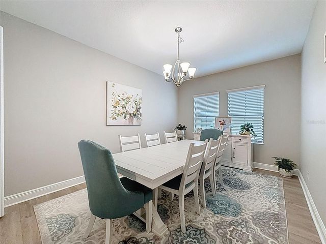 4312 BURDICK LOOP, Odessa, FL 33556