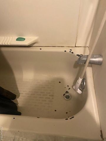 18 Windus Drive, Shirley, NY 11967