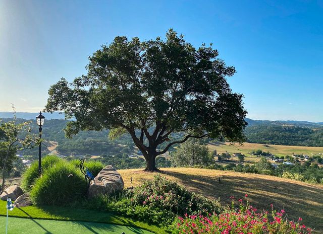 3465 Crestview, Valley Springs, CA 95252