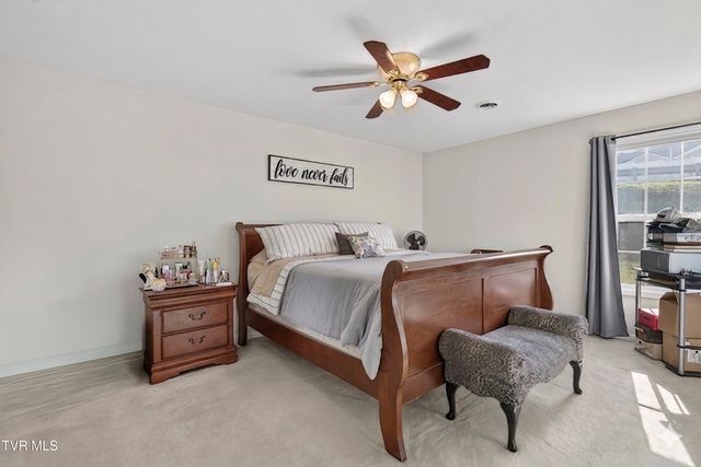 259 Sapling Grove Court, Bristol, VA 24201