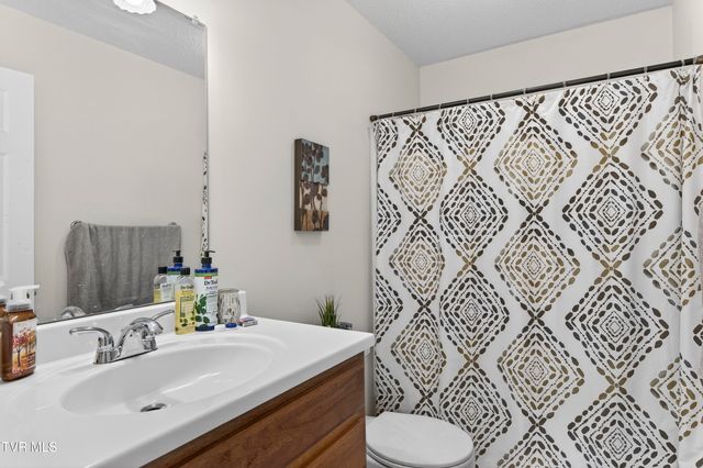 259 Sapling Grove Court, Bristol, VA 24201