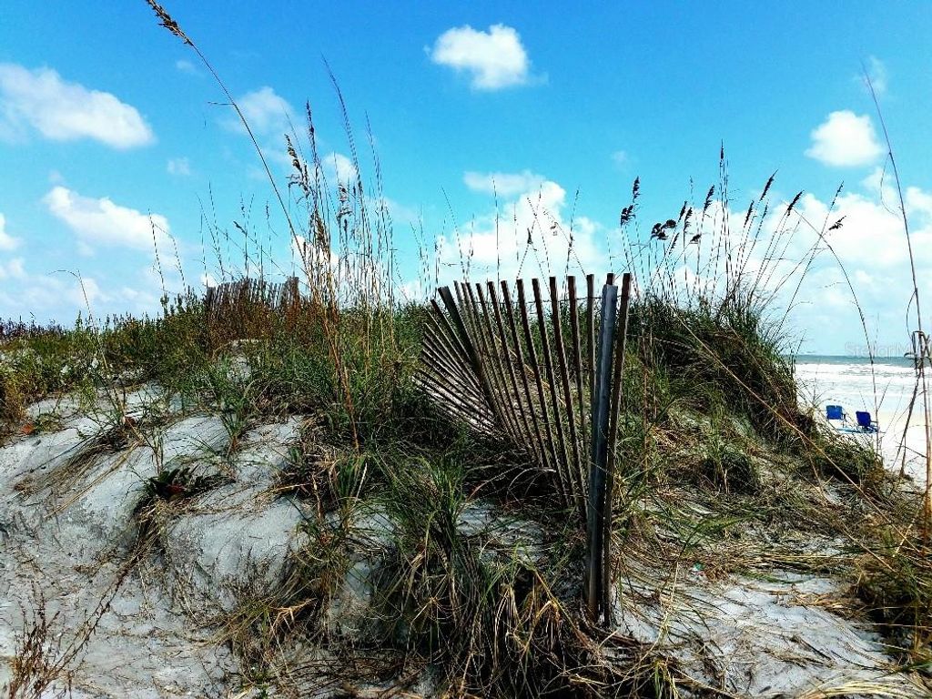 Image 63 of property listing at 585 CORBIN PARK ROAD, New Smyrna Beach, FL 32168