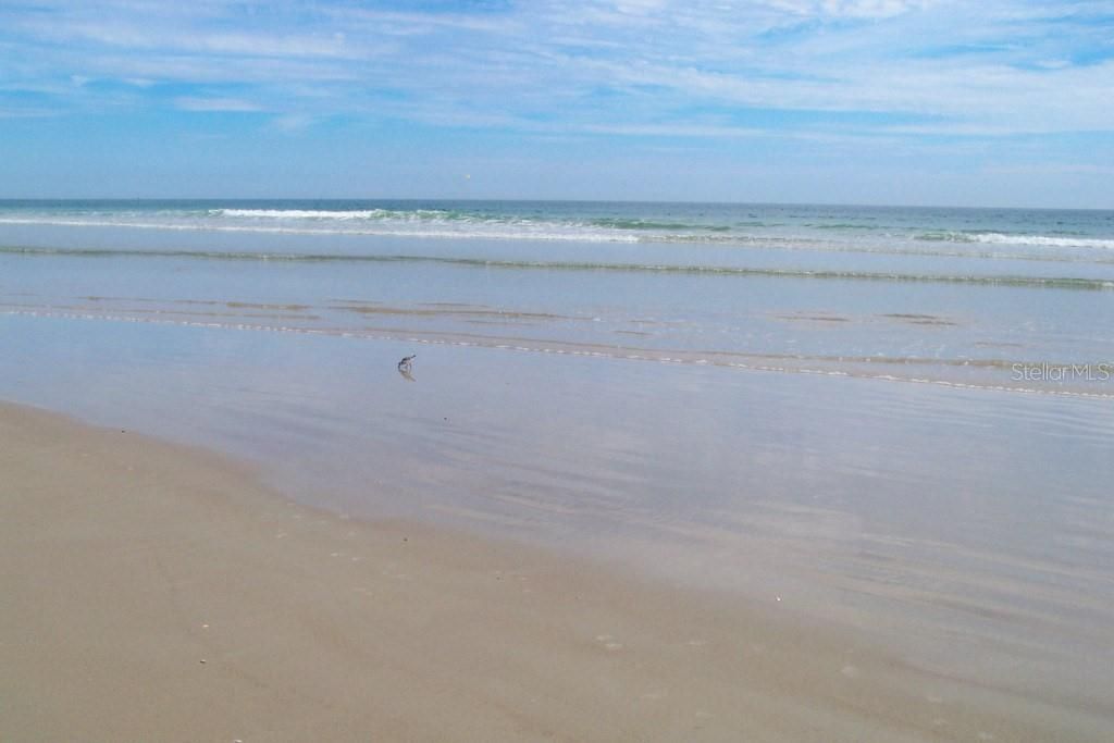 Image 65 of property listing at 585 CORBIN PARK ROAD, New Smyrna Beach, FL 32168