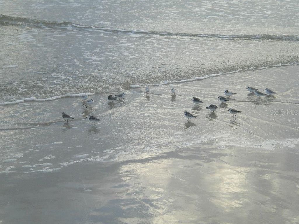 Image 69 of property listing at 585 CORBIN PARK ROAD, New Smyrna Beach, FL 32168