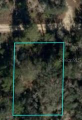NE 64TH PLACE, Williston, FL 32696