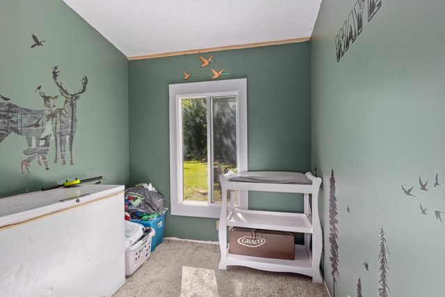 11526 N Bingham Avenue, Bitely, MI 49309