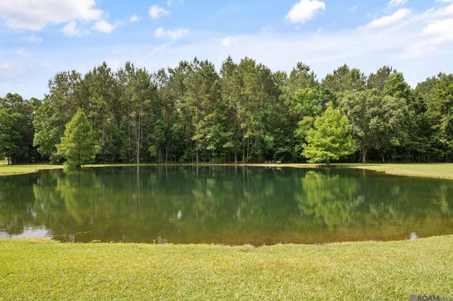 23247 Greenwell Springs Rd, Greenwell Springs, LA 70739