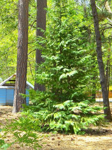 14405 Talking Pines Rd, Grass Valley, CA 95945