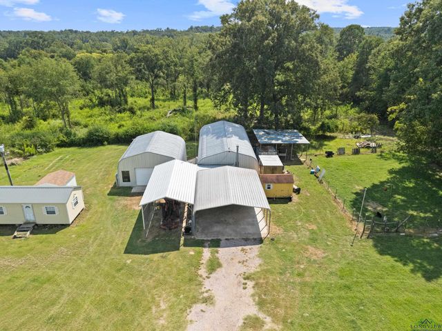 532 CR 1312, Pittsburg, TX 75686