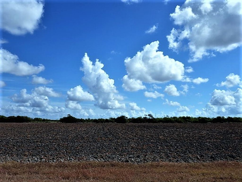 0000 Buddy Ganem (aka Fm 3239), Portland, TX 78374 — photo 3