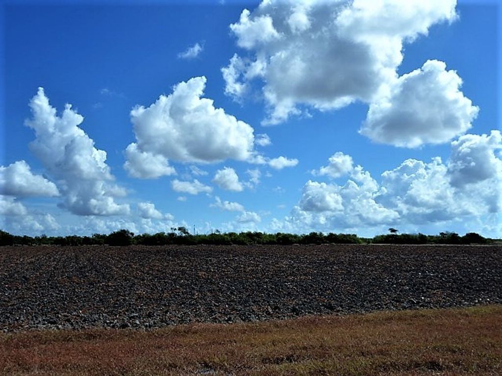 0000 Buddy Ganem (aka Fm 3239), Portland, TX 78374 — photo 4