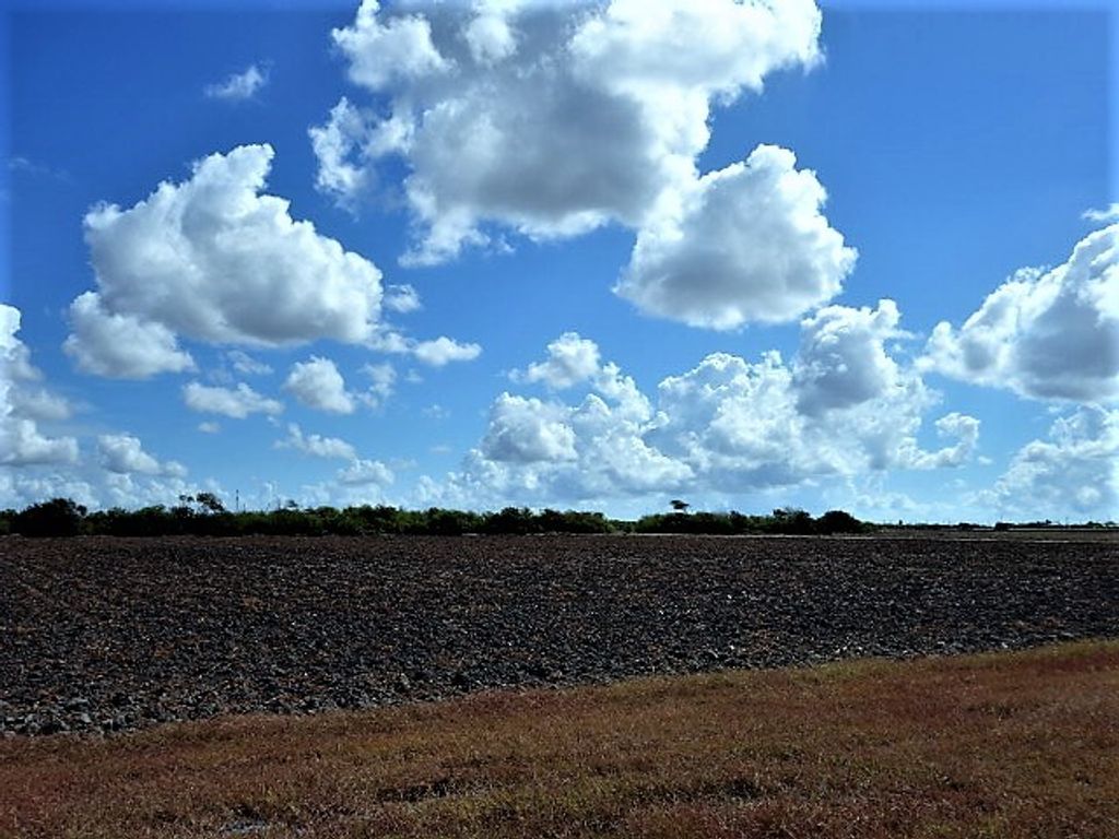 0000 Buddy Ganem (aka Fm 3239), Portland, TX 78374 — photo 5
