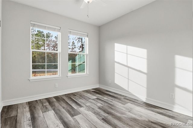 4195 N Pink Poppy Drive, Beverly Hills, FL 34465