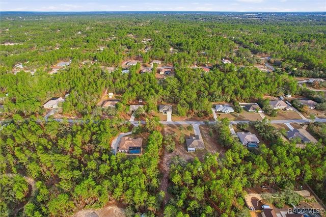 4195 N Pink Poppy Drive, Beverly Hills, FL 34465