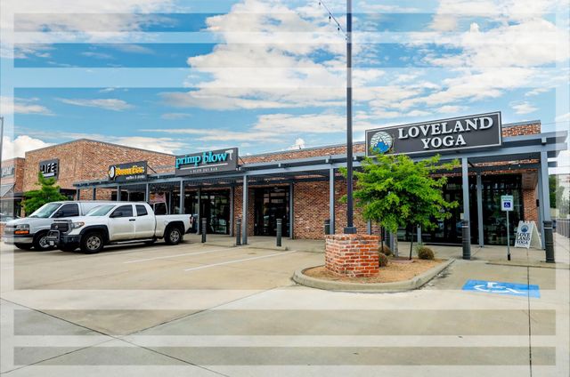 1235 Thornton Road, Houston, TX 77018