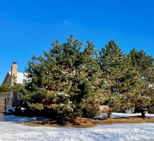 726 Baker Street, Rochester Hills, MI 48307