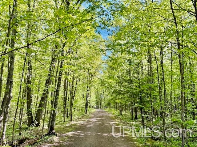 E5420 North Star Road, Ironwood, MI 49938