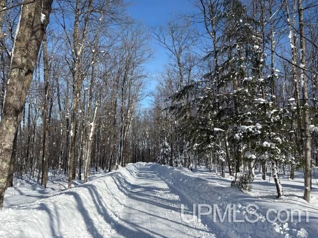 E5420 North Star Road, Ironwood, MI 49938