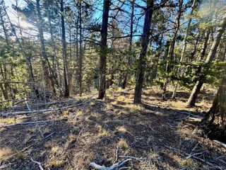 lot 5888 Loubier Road, Fort Garland, CO 81152