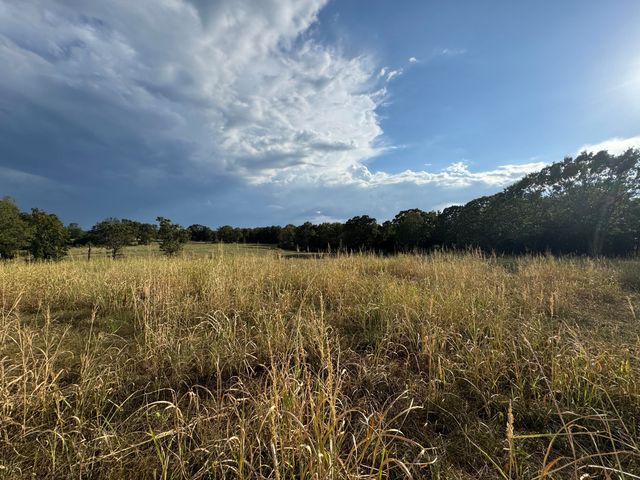 23211 Farm Road 2050, Aurora, MO 65605