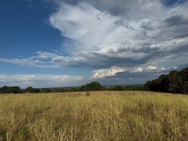 23211 Farm Road 2050, Aurora, MO 65605