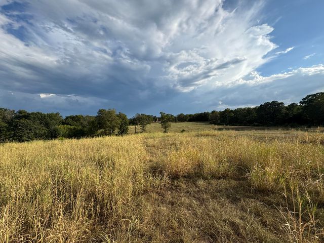 23211 Farm Road 2050, Aurora, MO 65605