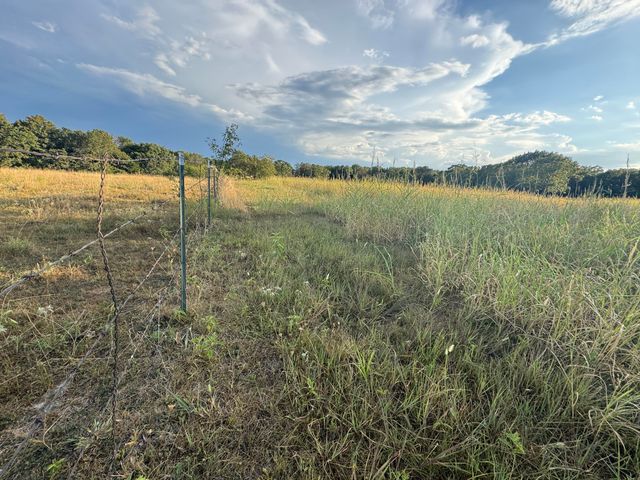 23211 Farm Road 2050, Aurora, MO 65605