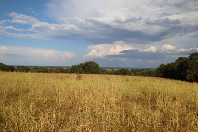 23211 Farm Road 2050, Aurora, MO 65605