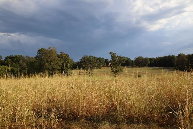 23211 Farm Road 2050, Aurora, MO 65605