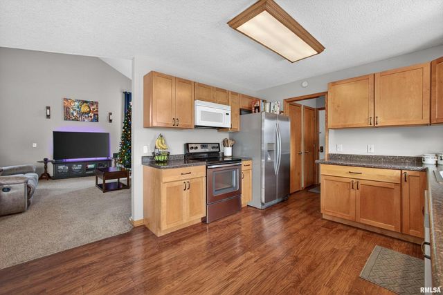 313 SULLIVAN Drive, Colona, IL 61241