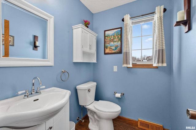 313 SULLIVAN Drive, Colona, IL 61241