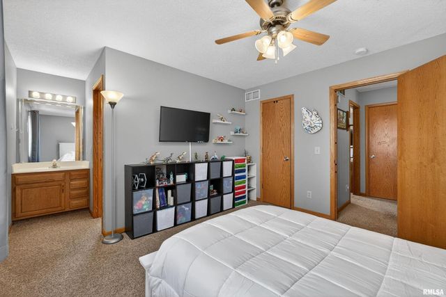 313 SULLIVAN Drive, Colona, IL 61241