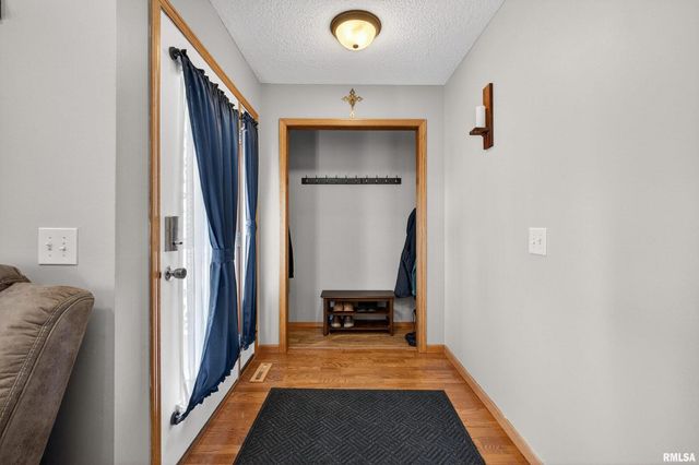 313 SULLIVAN Drive, Colona, IL 61241