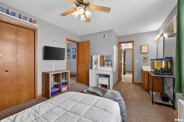 313 SULLIVAN Drive, Colona, IL 61241