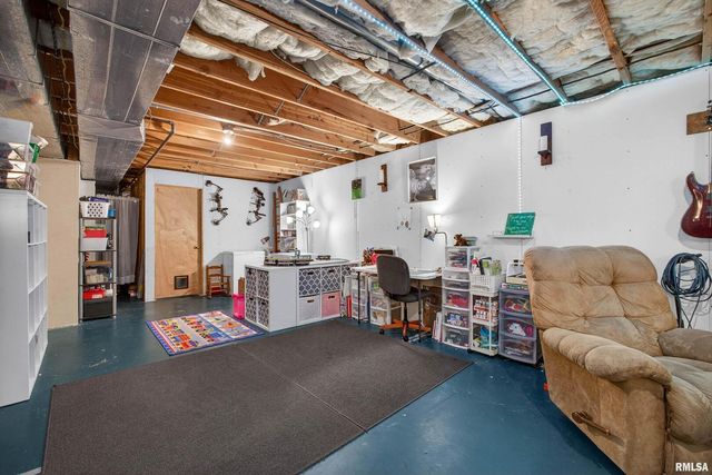 313 SULLIVAN Drive, Colona, IL 61241