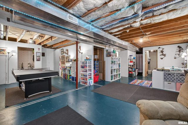 313 SULLIVAN Drive, Colona, IL 61241