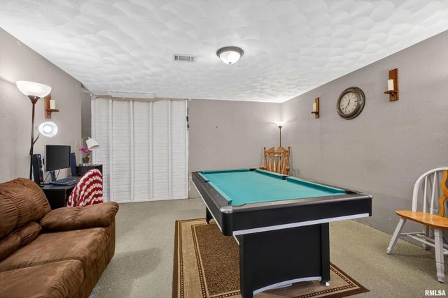 313 SULLIVAN Drive, Colona, IL 61241