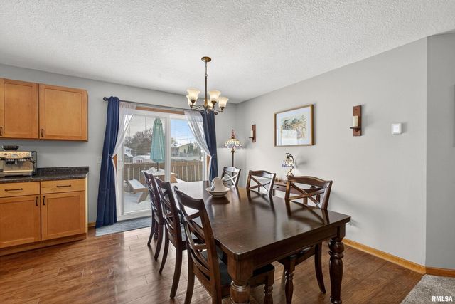 313 SULLIVAN Drive, Colona, IL 61241