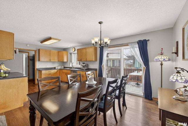 313 SULLIVAN Drive, Colona, IL 61241