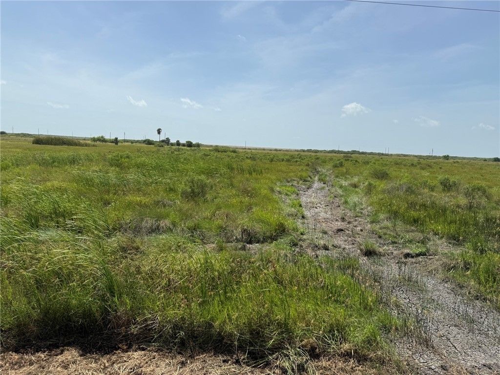 192 Joey Dr, Taft, TX 78390 — photo 4